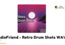 AudioFriend – Retro Drum Shots WAV